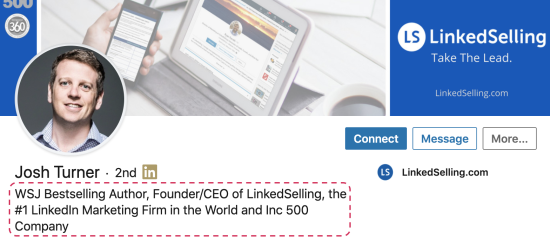 What is a professional headline in LinkedIn?