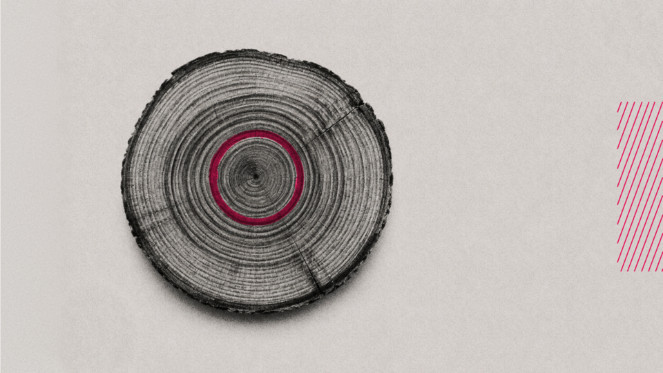 What Content Works for Skeptical CFOs? (And What They See Through Immediately)
